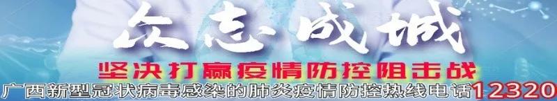 来宾市有个什么少数民族自治县,首批广西少数民族特点村寨名单
