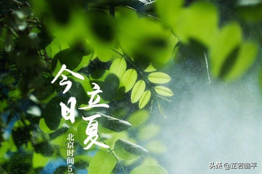 立夏|春红散尽，绿意盈然