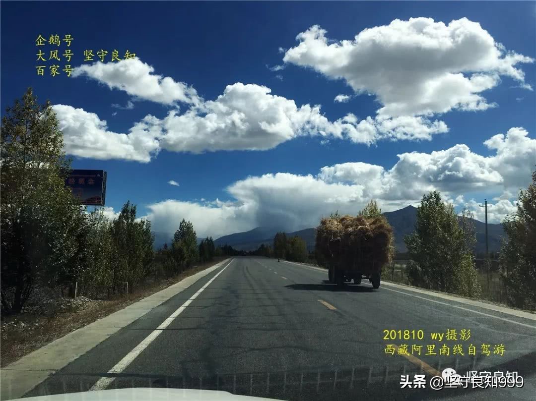 阿里大环线西藏圆梦之旅,西藏阿里南线7天详细攻略