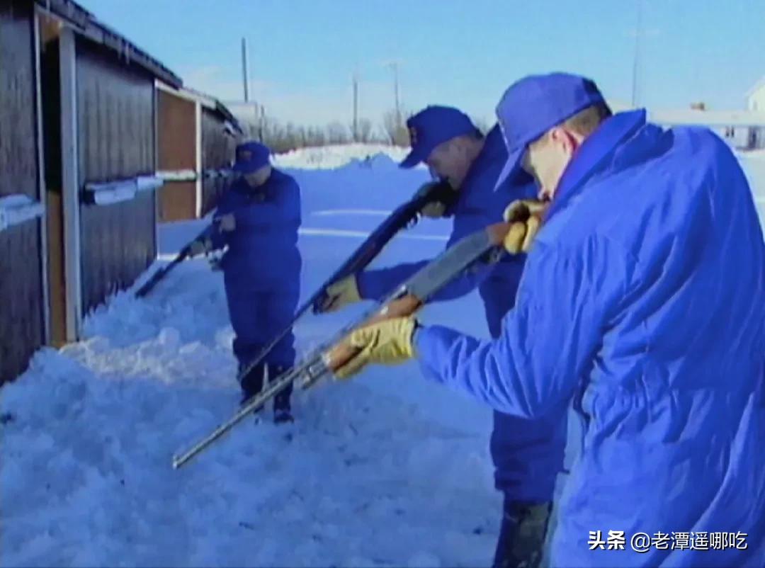加拿大哪个城市老鼠最多,加拿大没有老鼠的地方