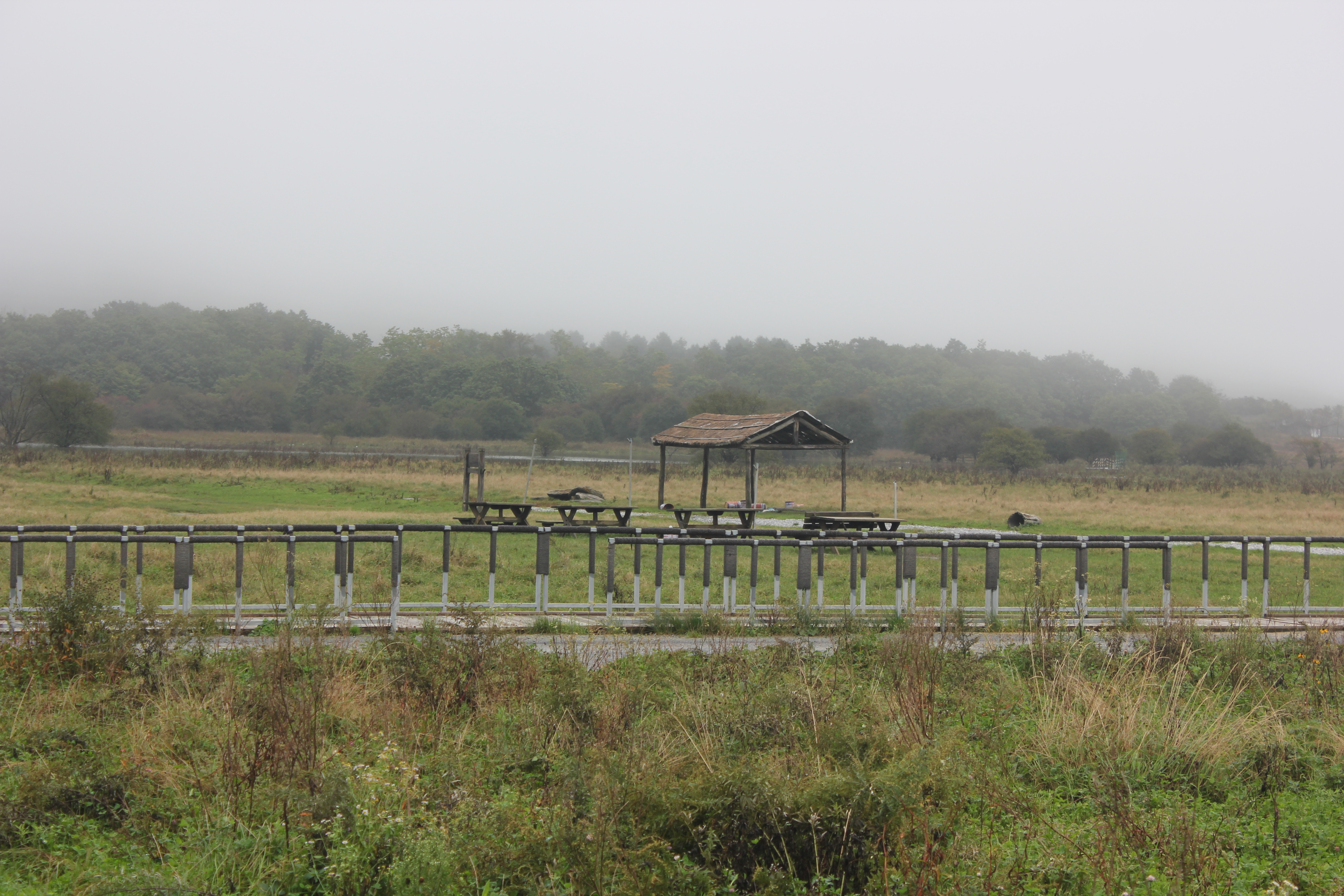 雨中神农架探秘之旅｜国庆节节武汉至神农架自驾游攻略分享