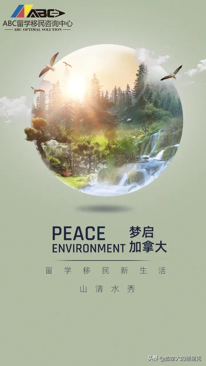 私家！我教你3天加10000粉丝，如何增加粉丝关注