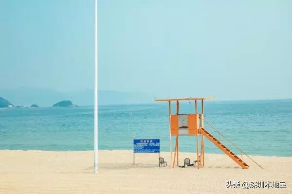 深圳免费的景点有哪些地方,深圳有哪些免费又好玩的地方景点