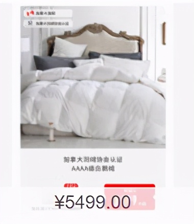 鹅绒羽绒被十大排名,高品质白鹅绒羽绒被推荐