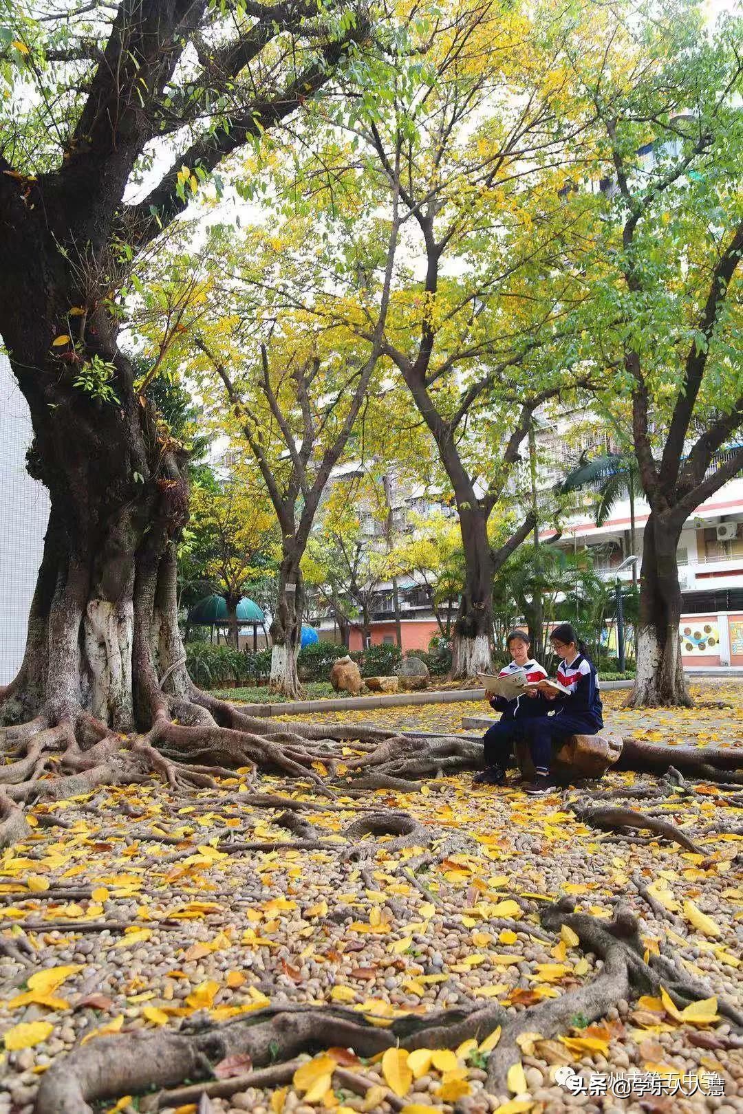 广州2019113中学招生,广州2019民办中学校招生