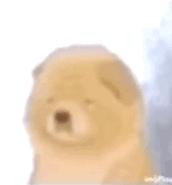 *党**妹视频里出现的那些Lolita小裙子大盘点！（一）