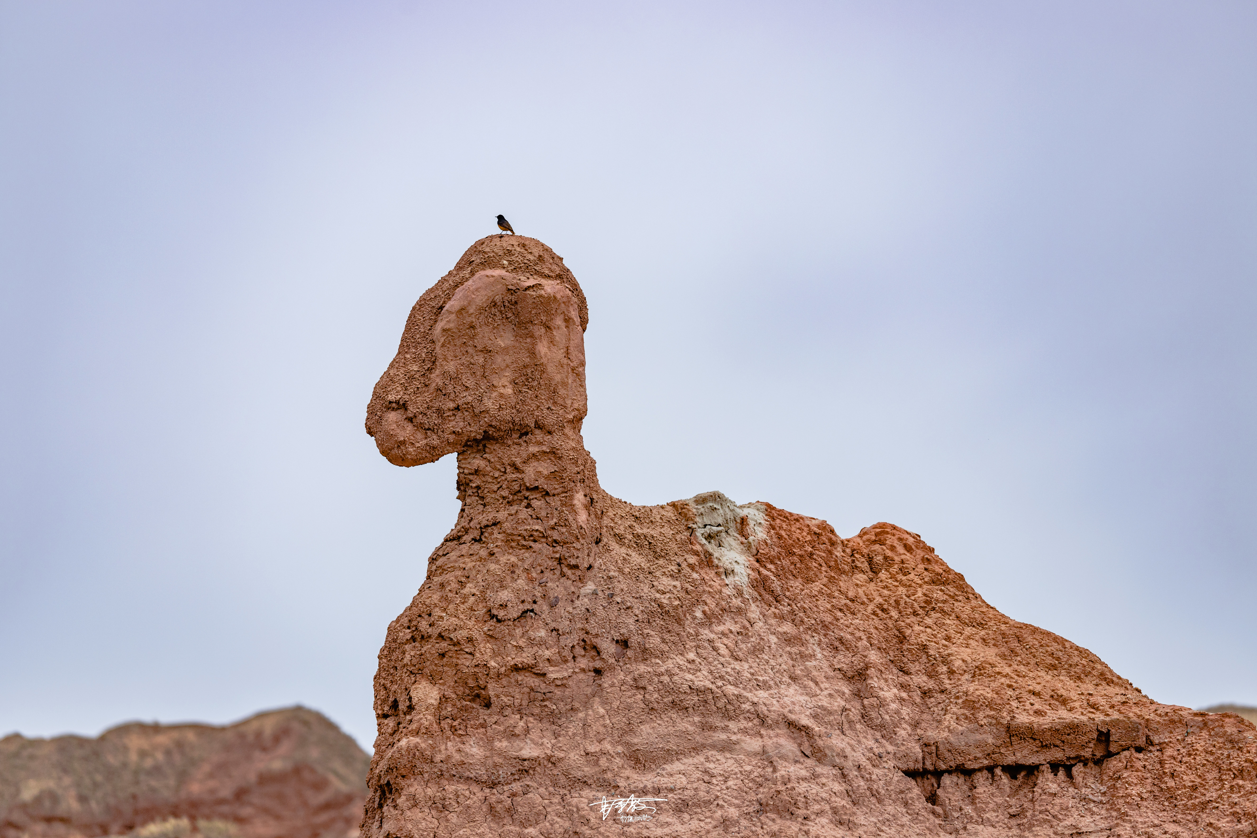 大峡谷自然奇观丹霞海岸,丹霞地貌看日落的最佳景点