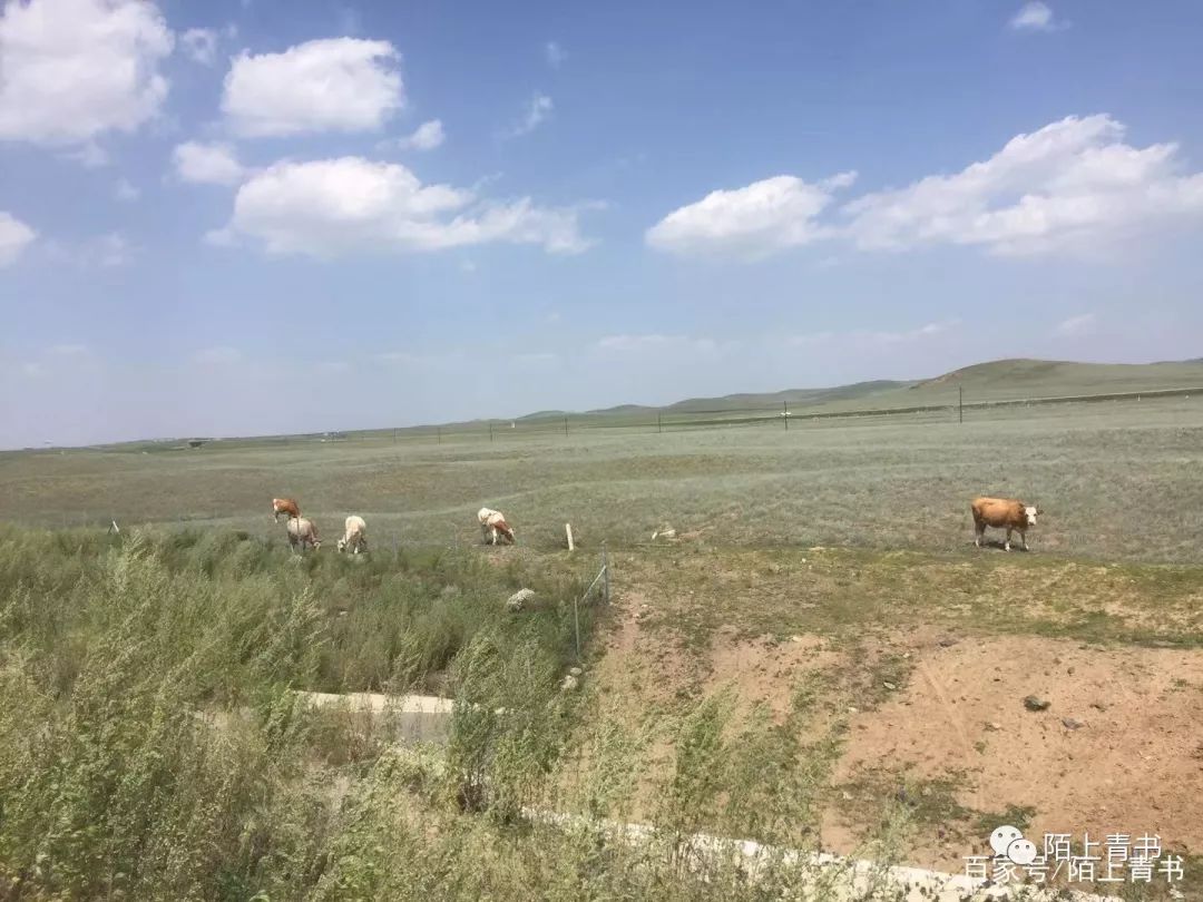 东北野生黑木耳直销,一包黑木耳