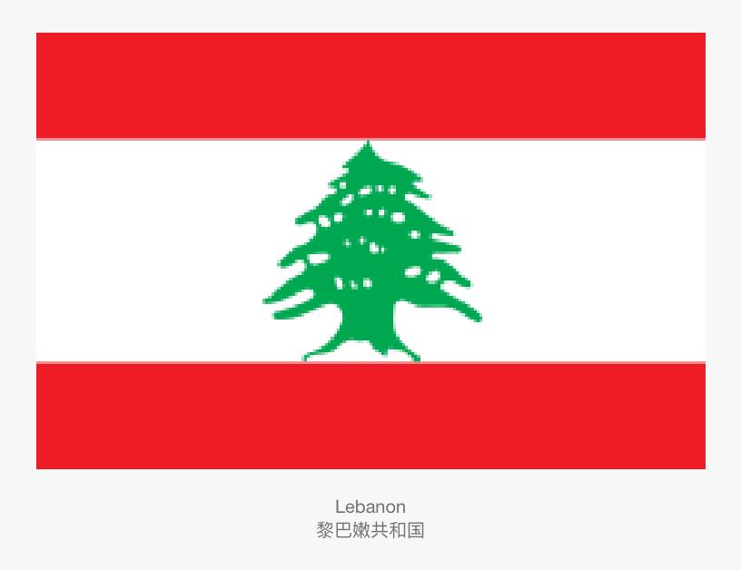 亚洲国家国旗有哪些,亚洲国家国旗讲解