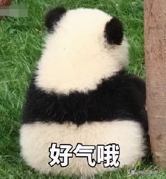 星巴克200家门店轰然倒闭，到底是谁在从中作怪？