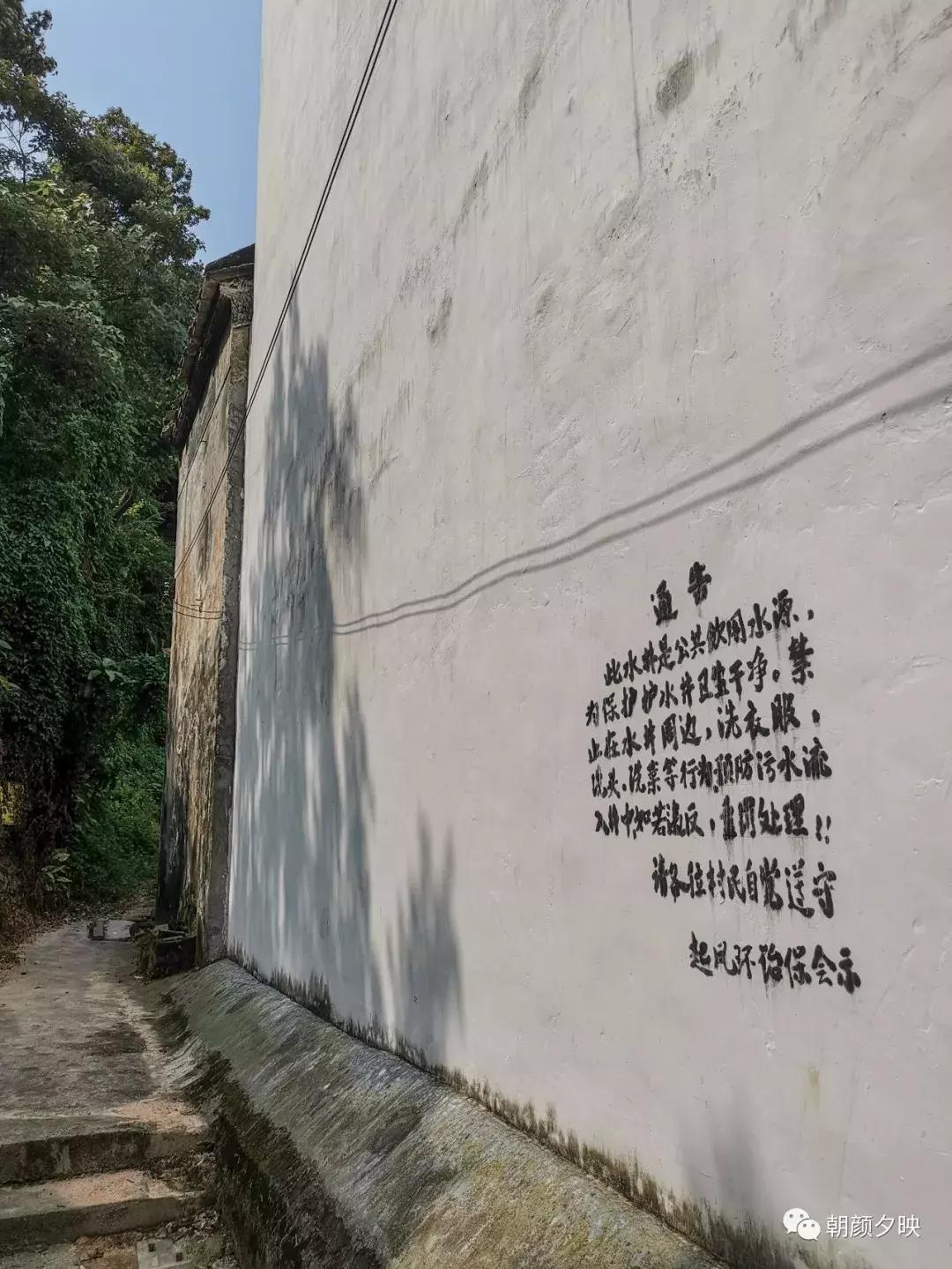 岐阳梧桐起凤环，鹭兮鹭兮寻不见（上）