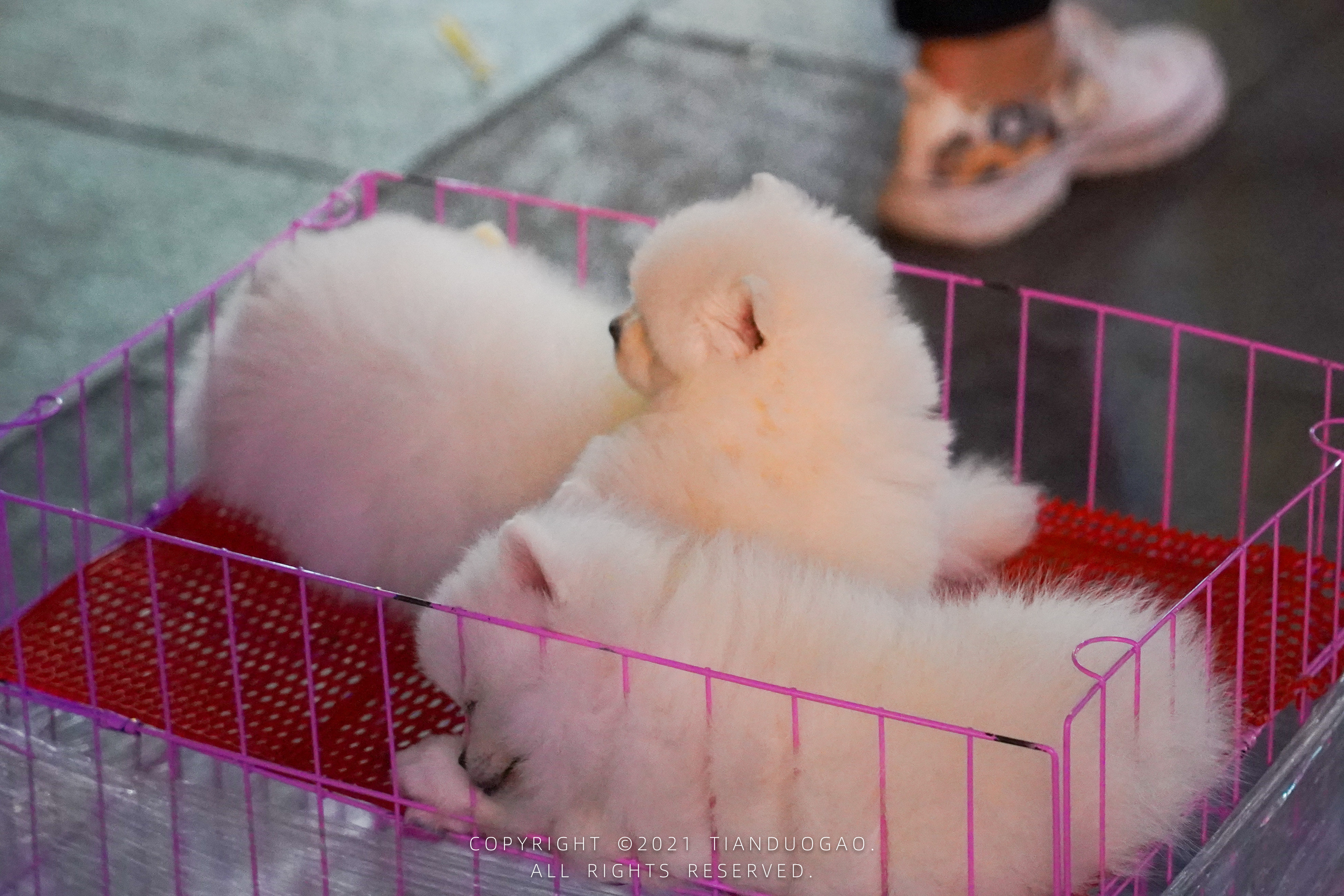 旅游必打卡！太原历史最悠久的商业街柳巷