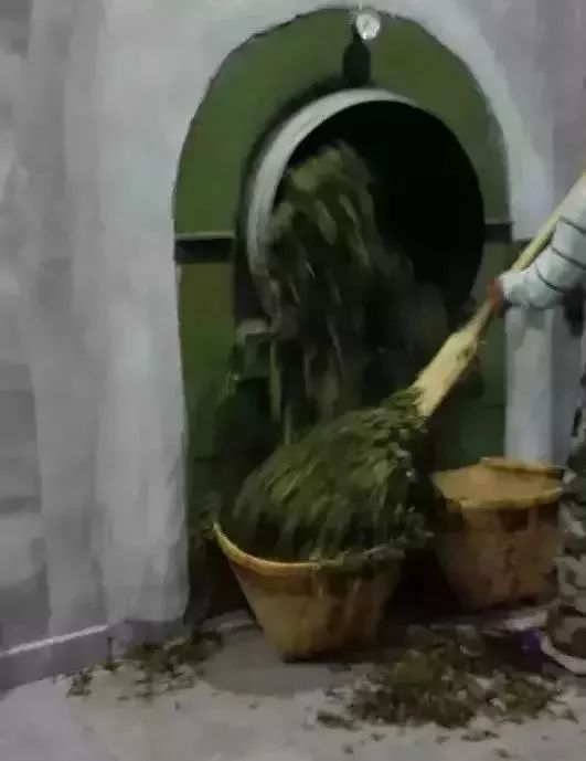 武夷岩茶大红袍讲解词,武夷岩茶大红袍基础知识