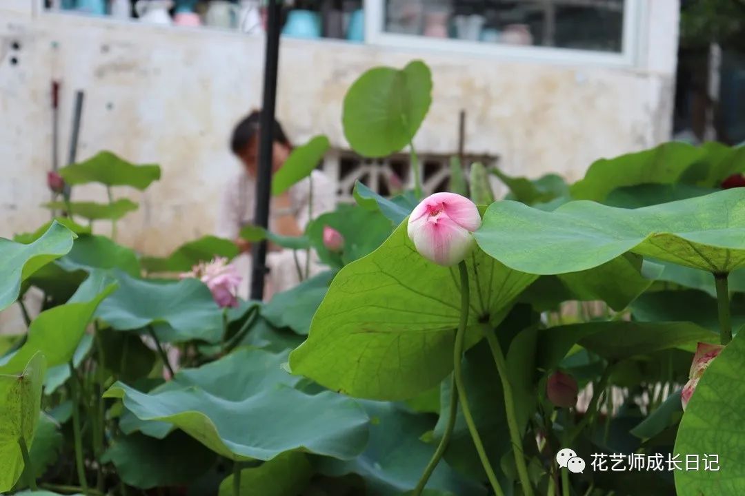 <html>
<head><title>502BadGateway</title></head>
<body>
<center><h1>502BadGateway</h1></center>
<hr><center>nginx</center>
</body>
</html>
<!--apaddingtodisableMSIEandChromefriendlyerrorpage-->
<!--apaddingtodisableMSIEandChromefriendlyerrorpage-->
<!--apaddingtodisableMSIEandChromefriendlyerrorpage-->
<!--apaddingtodisableMSIEandChromefriendlyerrorpage-->
<!--apaddingtodisableMSIEandChromefriendlyerrorpage-->
<!--apaddingtodisableMSIEandChromefriendlyerrorpage-->
