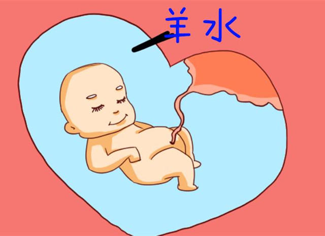胎儿在孕妈肚子里抖动是怎么回事？可不是你以为的胎动，别弄错了