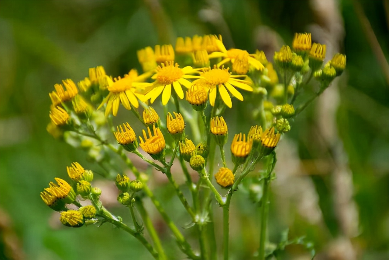 中年女人越过越好的三种表现,中年女人最好生活状态