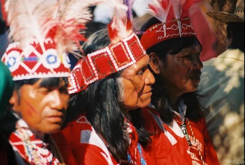 南美唯一承认“*独台**”的国家，是如何把自己作死的？