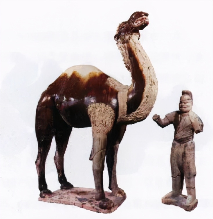 戈壁红驼，乌拉特草原上的珍珠