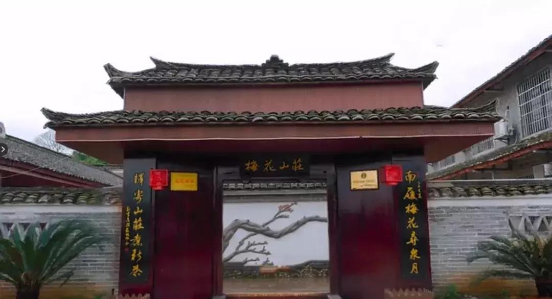 非物质文化遗产南庙武术,中国武术之乡十大排名