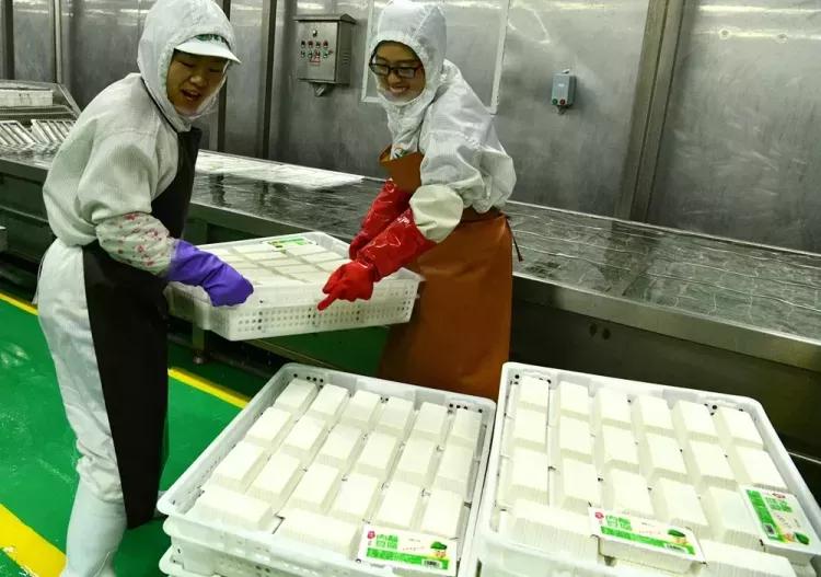 石家庄栾城有什么好的工厂,茨河豆制品加工厂