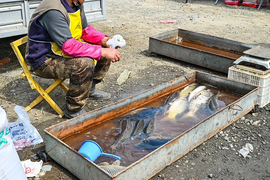 北京京郊大集地理位置,今天京郊哪有大集