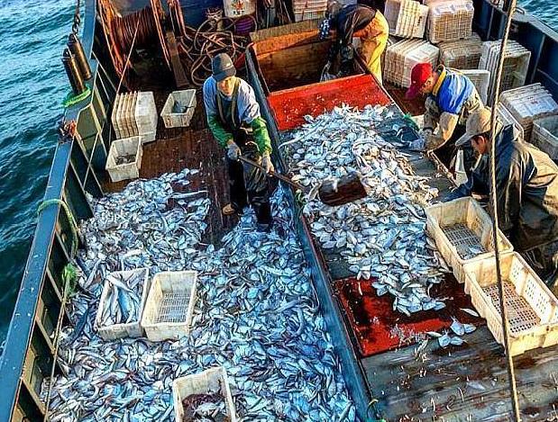 承包千亩水库！投放30万尾小鱼苗，收获季节却满脸愁容，什么情况