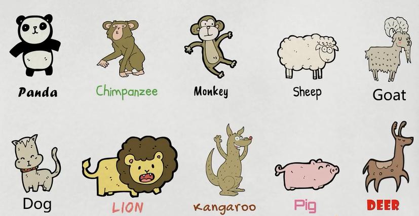 关于动物的英语短单词,初中英文的动物词汇