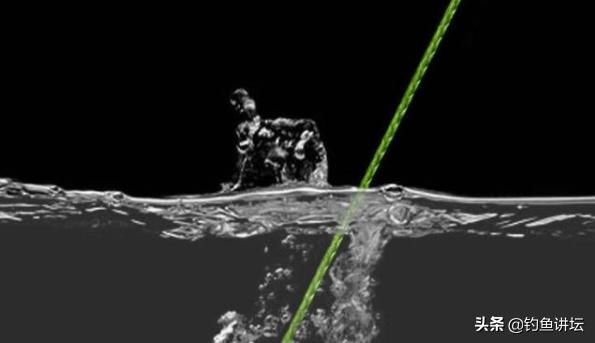 食人鱼怎么钓效果最好,钓食人鱼最佳方法是什么