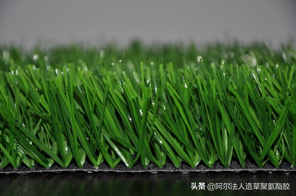 免填充人造草坪参数,免填充型足球场人造草坪优点