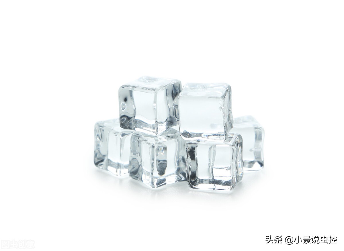 衣服上粘上粘鼠板胶去除妙招,粘鼠板粘在衣服上怎样去除