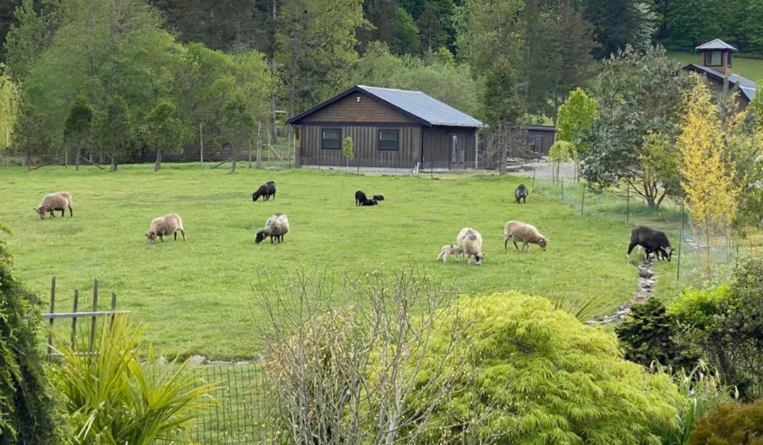 端午带娃小众旅游地点,端午旅游攻略三天两晚亲子