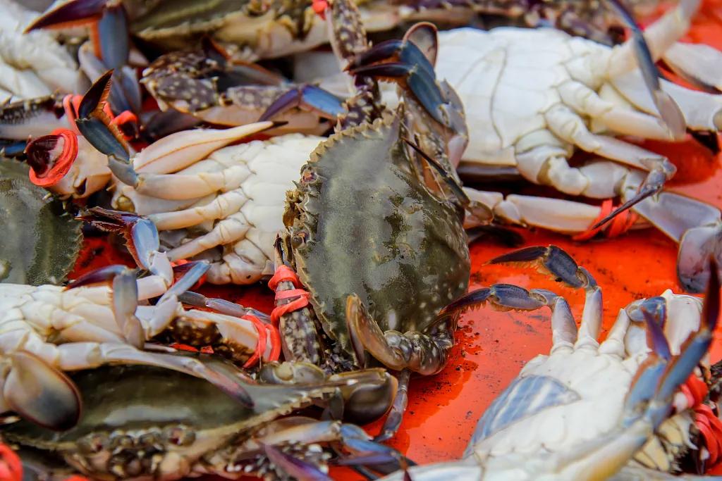 这就是天津完整视频,这就是天津南开