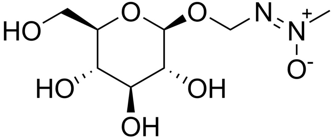 伍德苏铁：寻妻百年的铁树鳏夫，全球仅一棵，克隆的树苗价值15万