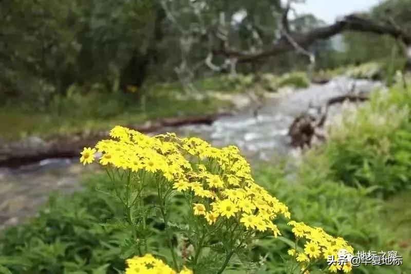 绉嬩箣瀚ｇ劧鐑熻姳鍚戞櫄,绉嬩箣瀚ｇ劧