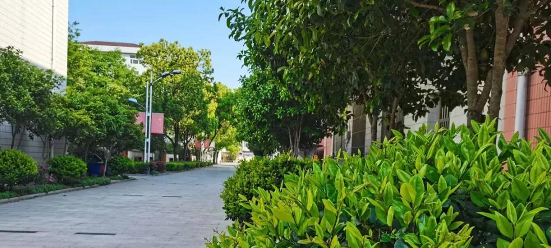 美景宜人更育人