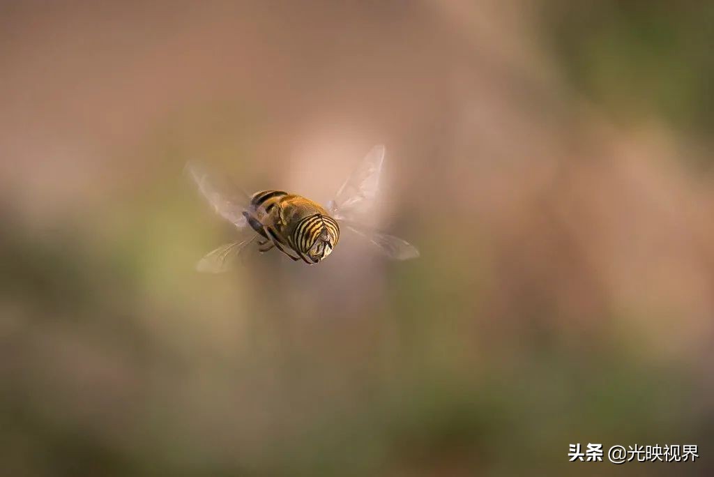 捕捉美好瞬间9秒视频,捕捉震撼的瞬间