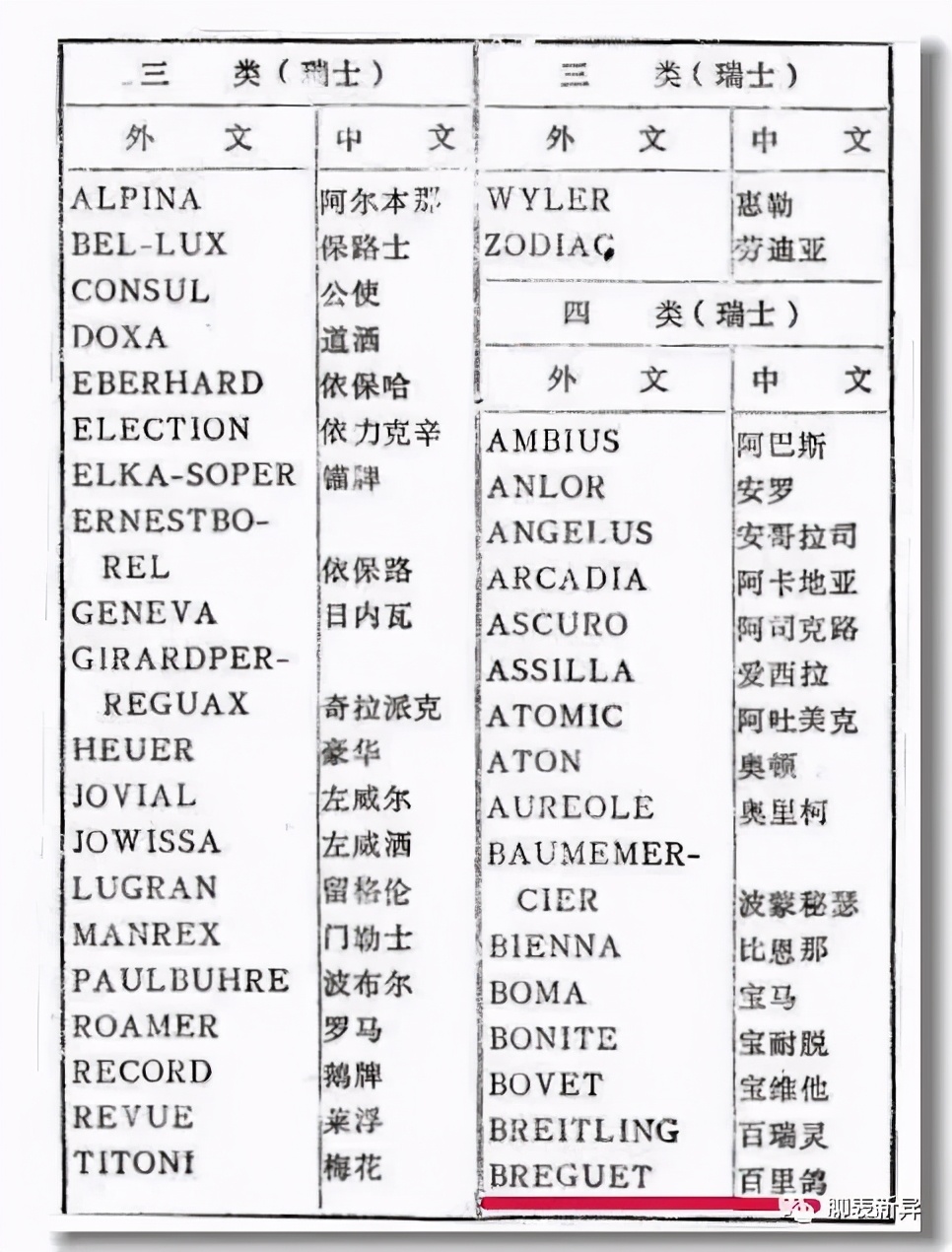 百里鸽,百里乳鸽