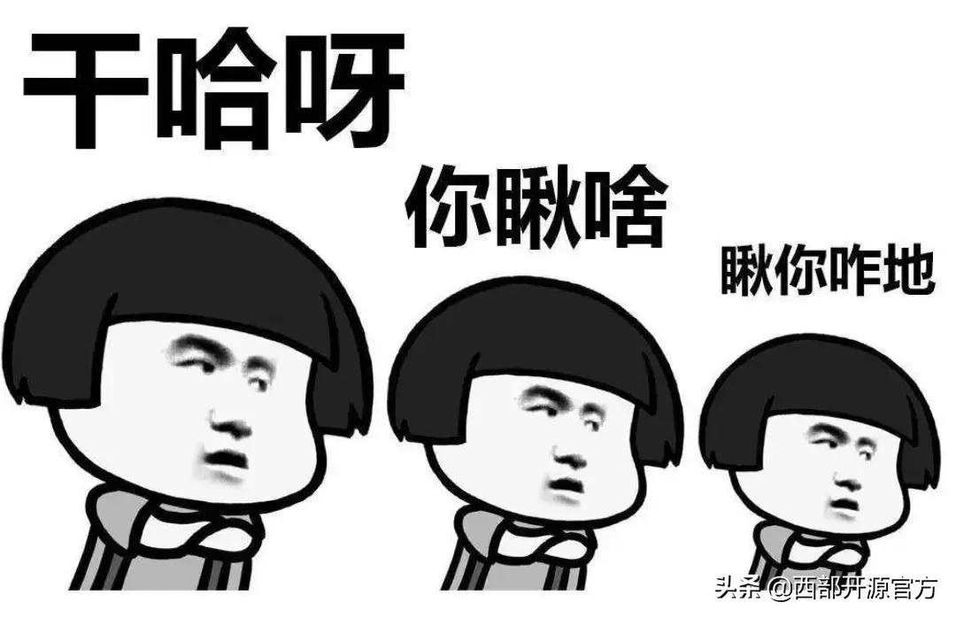 哪种编程语言适合当母语,编程语言文言文