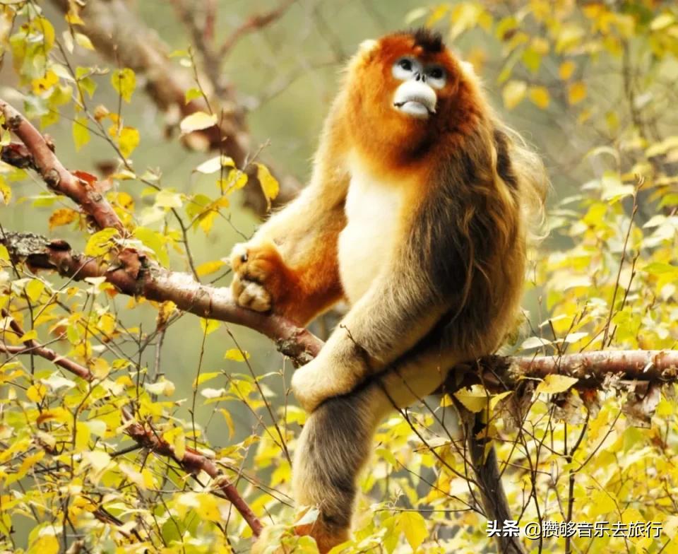 甘孜欢迎您,四川甘孜州欢迎您