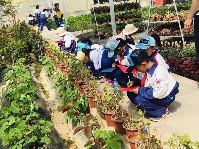 【益西户外营地教育】金川第六小学野狐湾自然研学营圆满结束！