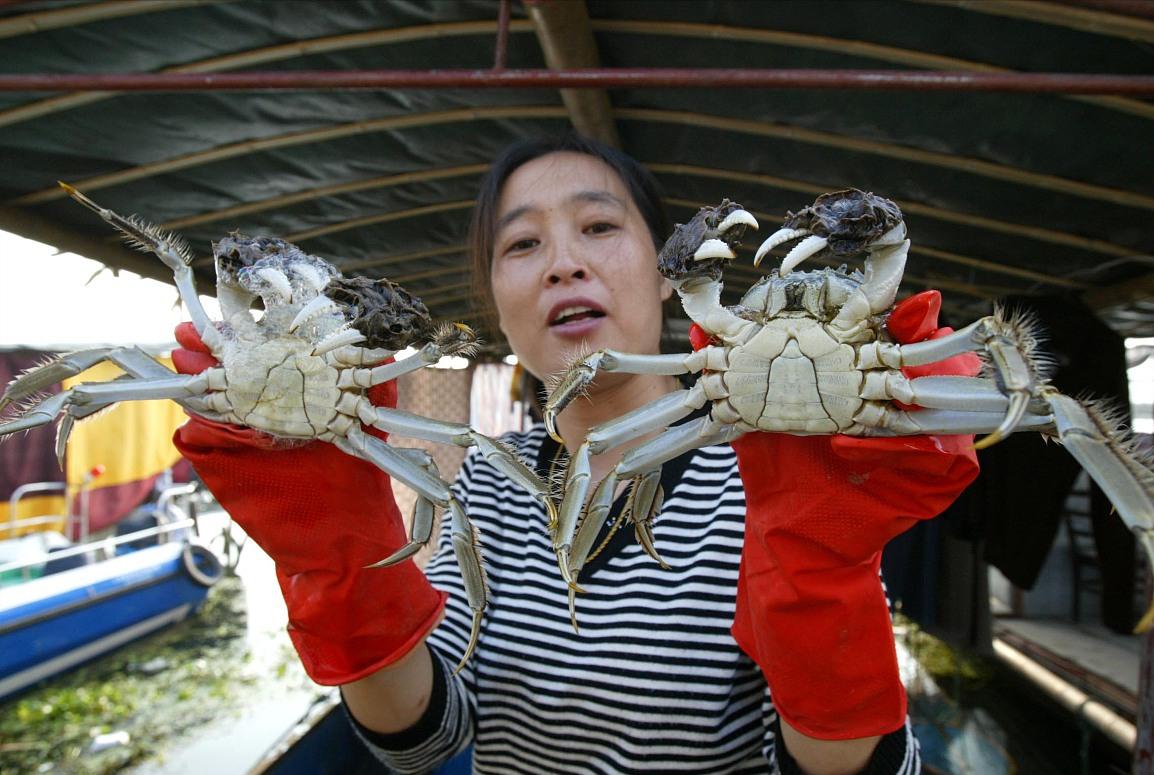 螃蟹选公蟹还是母蟹,买螃蟹怎么挑选公蟹比较肥