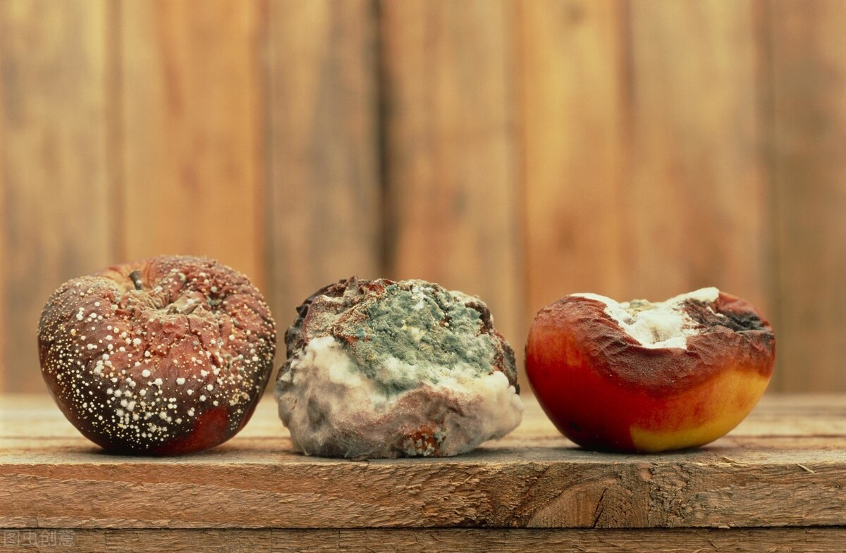 10亿年后地球氧气会耗尽吗,2067年地球爆发氧气危机是真的吗