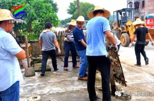 多彩云浮丨美“荔”宝珠，东进融湾