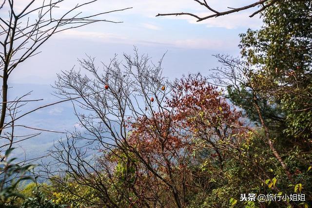 天目湖加南山竹海哪里泡温泉好,天目湖度假秘境享用绝美自然山水