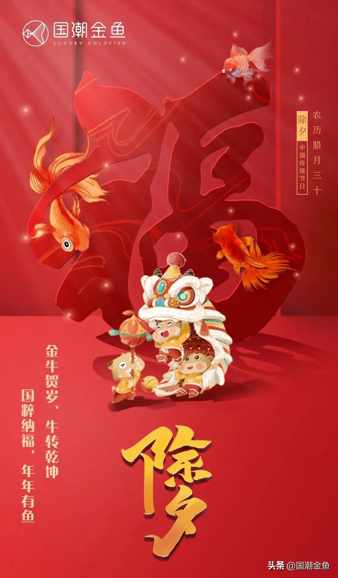 除夕“集五福”！五种福气满满的金鱼，祝您年年有余