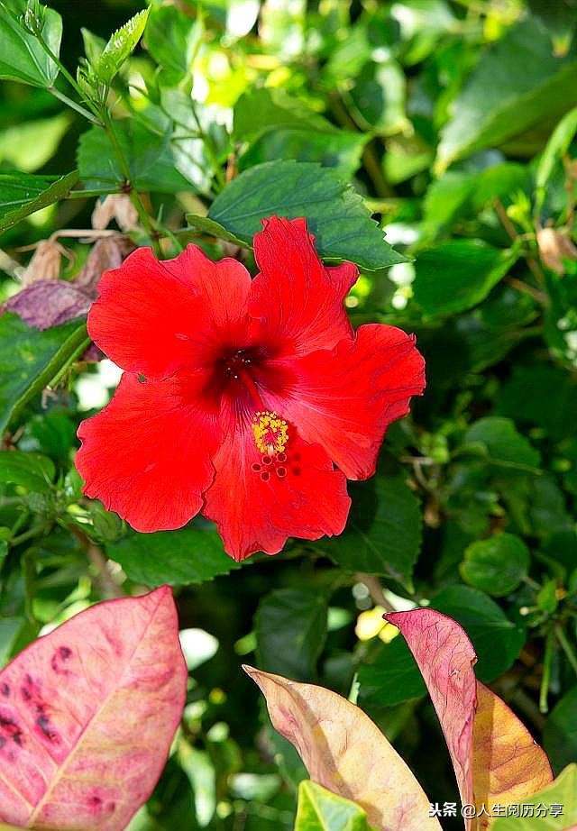 人生格言正能量励志名句简短,励志短句正能量名人名言