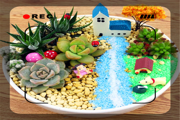 家庭加工创业项目,小县城家庭创业加工真实项目