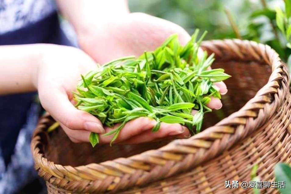 谷雨宜喝岩茶绿茶红茶,今日谷雨时值暮春初夏将至
