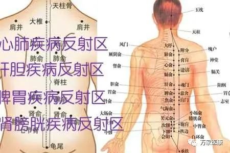 拔罐有何作用什么情况下可以拔罐,拔罐的好处和拔罐方法注意事项