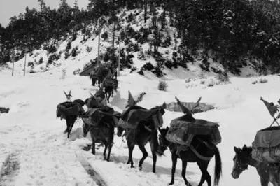 许嵩千百度钢琴简谱完整版,许嵩千百度歌词涉及的古诗